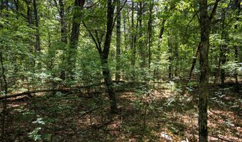 19 Th Pass Lot 132, Arkdale, WI 54613