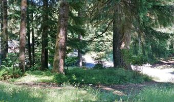 9965 BEACH Dr, Birkenfeld, OR 97016