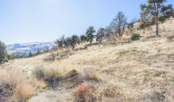 3221 Reese Ln, Gardnerville, NV 89410