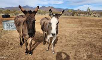 Lot 197 S Cholla / Cortaro Rd, Yucca, AZ 86438