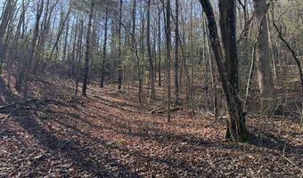 1834 Bristol Ave, Andrews, NC 28901