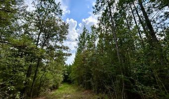 3951 MS-42, Bassfield, MS 39421