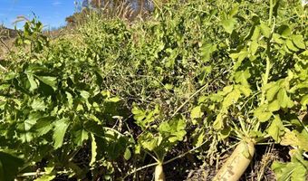 County KK, Alma, WI 54610