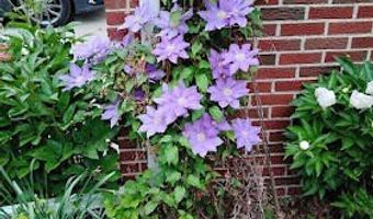 2388 Nixon Rd, Ann Arbor, MI 48105