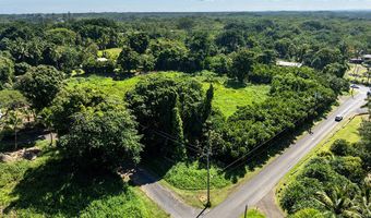 LAEHALA ST, Hilo, HI 96720