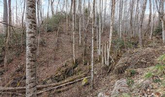 NC 209 Highway, Aurora, NC 28743