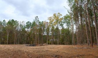 00002 Trickhambridge Rd, Brandon, MS 39042