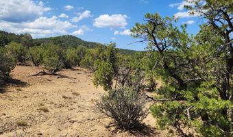 15 Co Rd 3041, Concho, AZ 85924