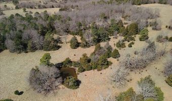 000 County Road 413, Alton, MO 65606