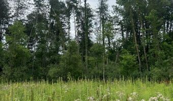 6130 Thornapple River Dr SE, Alto, MI 49302