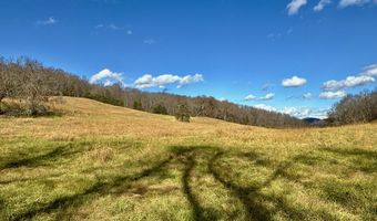 1520 Brittontown Rd, Afton, TN 37616