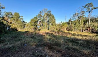 TBD Alternate 97, Abbeville, AL 36310