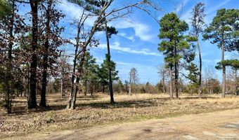 Country Club Ln, Ashdown, AR 71822