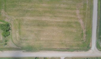 1991 Townline, Adrian, MI 49221