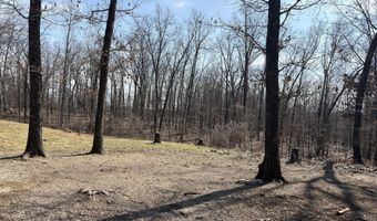 1790 County Rd A-435, Ava, MO 65608