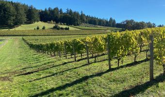 7820 SE Amity Rd, Amity, OR 97101