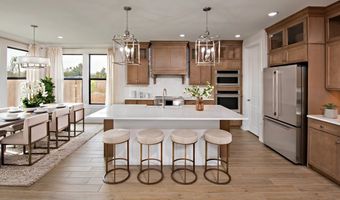 2371 W Los Arboles Pl Plan: Seaview, Chandler, AZ 85224