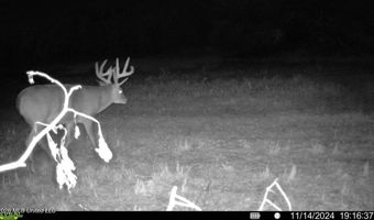 425 Rose Hill Rd, Bentonia, MS 39040