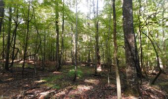 Anding Oil City Road, Bentonia, MS 39040