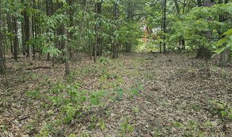 Lot 9 Wildwood Drive, Allegan, MI 49010