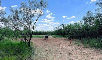 12415 County Road 356, Anson, TX 79501