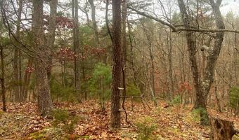 SPITZ Lane, Basye, VA 22810