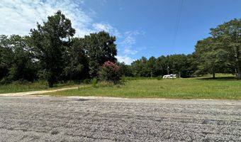 177 155 Pebble Cove Rd, Abbeville, AL 36310