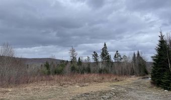 1085 Hines Place Trl 11, Walden, VT 05873