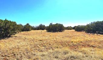 20 CO Rd, Concho, AZ 85924