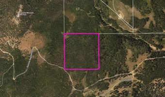 40 Acres Summit Mountain Rd, Brian Head, UT 84719