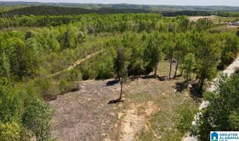 LANDFILL ROAD lot 1, Ashland, AL 36251