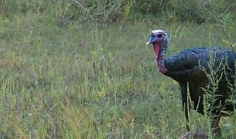 Hwy 9, Bruce, MS 38915