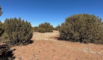 30 CR 8051 Rd, Concho, AZ 85924