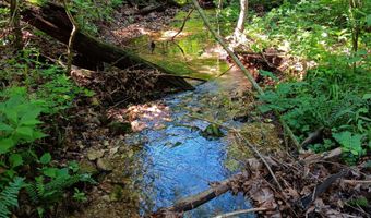 65 Acres Plainview Rd, Anderson, MO 64831