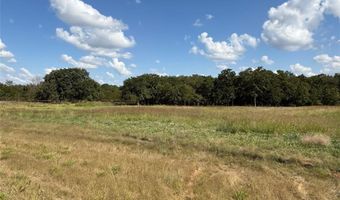 330 Rolling Ranch Blvd, Alvord, TX 76225