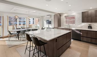 447 E Cooper Ave 1, Aspen, CO 81611