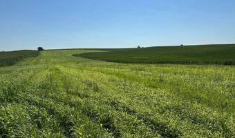 834 Th Rd 542nd Ave, Battle Creek, NE 68752