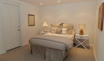 229 W Hallam St, Aspen, CO 81611