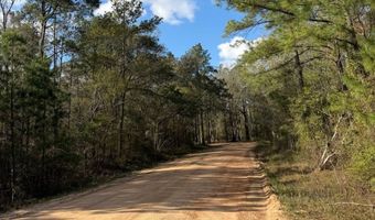 Old Faceville Rd lot # 4, Bainbridge, GA 39819