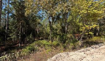 Lot 10 16th Ave, Bell, FL 32619