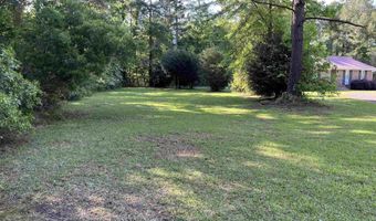 9835 Countyline Rd, Hemingway, SC 29554