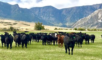 57 Canyon Ranch Rd, Big Horn, WY 82833