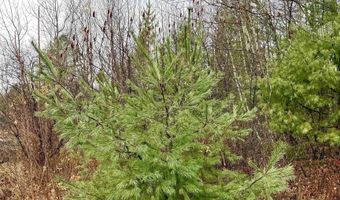 61 Thorn Hill Rd, Bethlehem, NH 03574