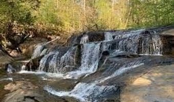 356 Henry Scott Rd, Ball Ground, GA 30107