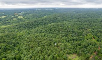 14 5 Neil Robinson Rd, Anderson, MO 64831