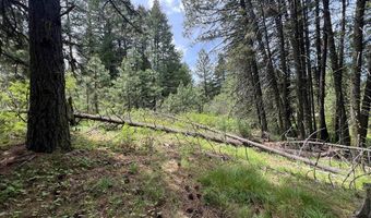 Tbd Hilltop Road 43 & 44, Cascade, ID 83611