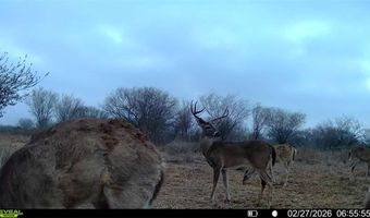 CR 119 lot 0, Alice, TX 78332