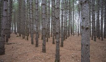 685 17th Dr Lot 6, Arkdale, WI 54613