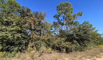 LOT 30 Yvette Dr, Alford, FL 32420