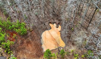 762 High Falls Park Rd, Barnesville, GA 30204